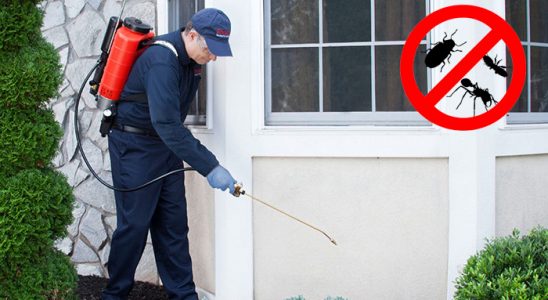 Sivaslı Hamam Böceği İlaçlama böcek ilaçlama ve haşere kontrolü — ilaclama-tr.com